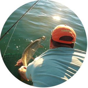 fishing charters across the globe