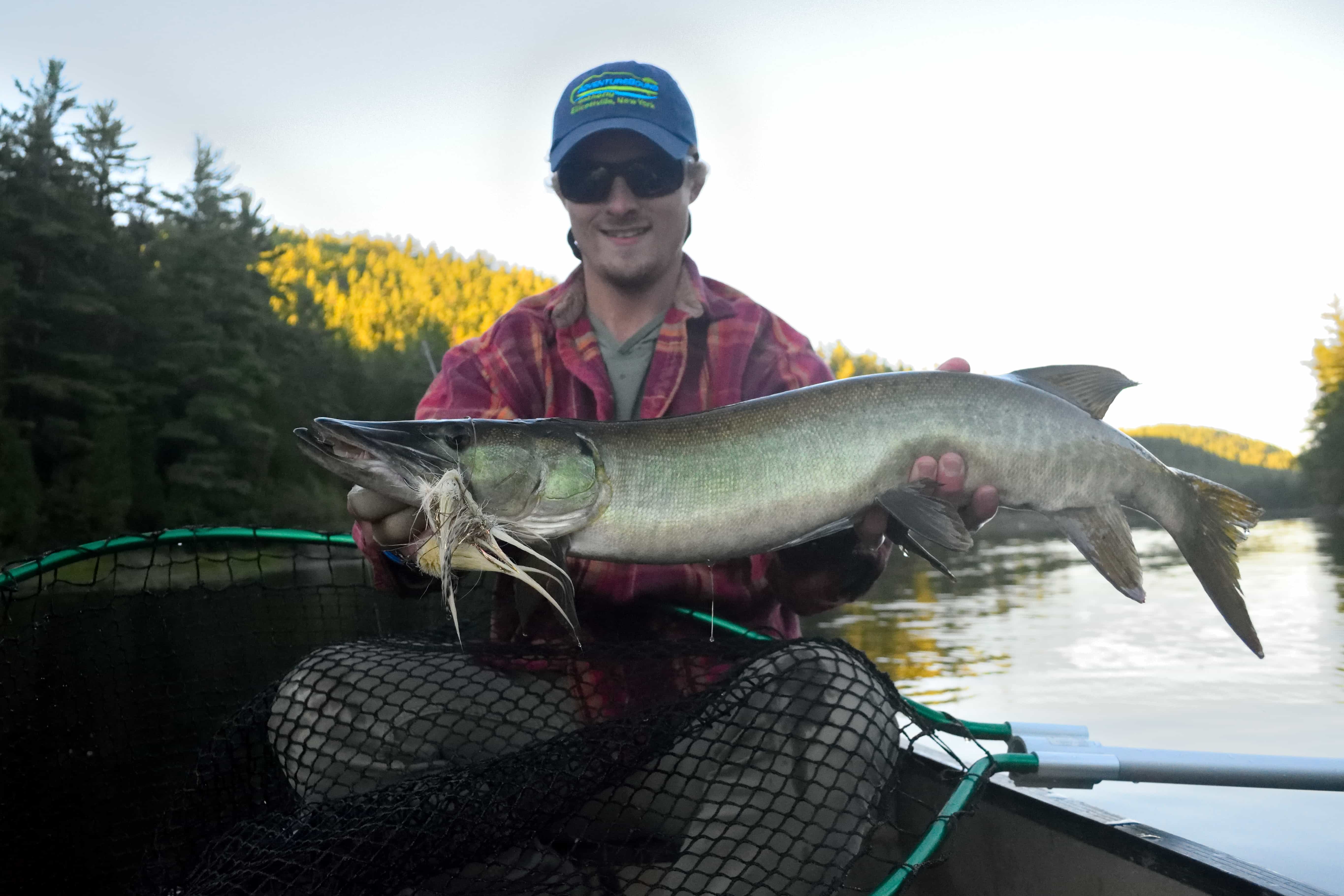 Algonquin Adventure: A Musky Epic - Brookdog Fishing