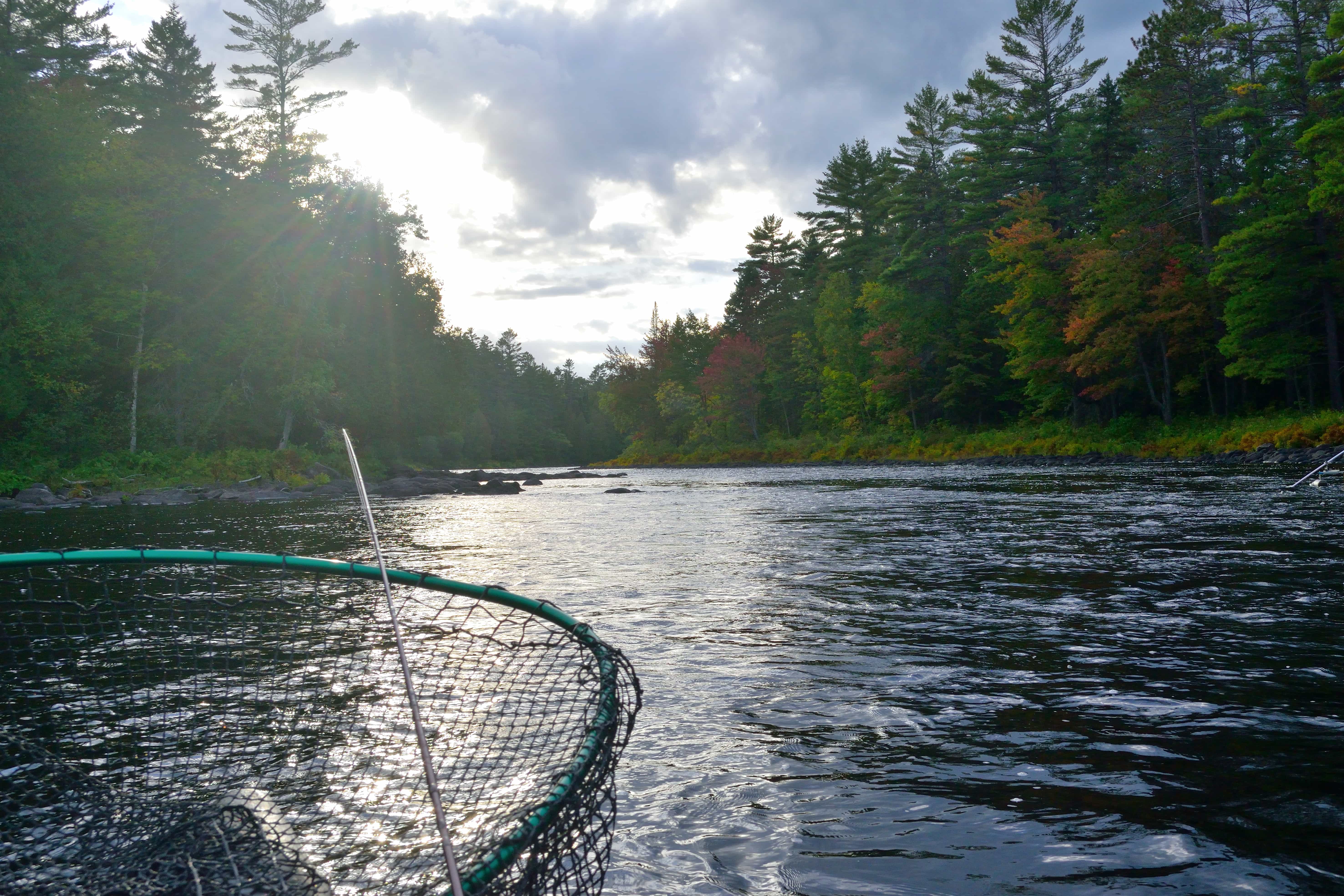 Another downstream shot - take note of the placement of the net and additional rod