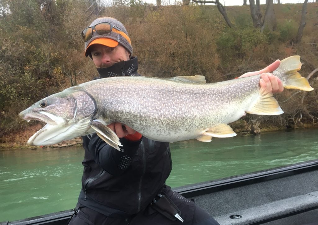 Late Fall Fishing in Buffalo Niagara - Brookdog Fishing