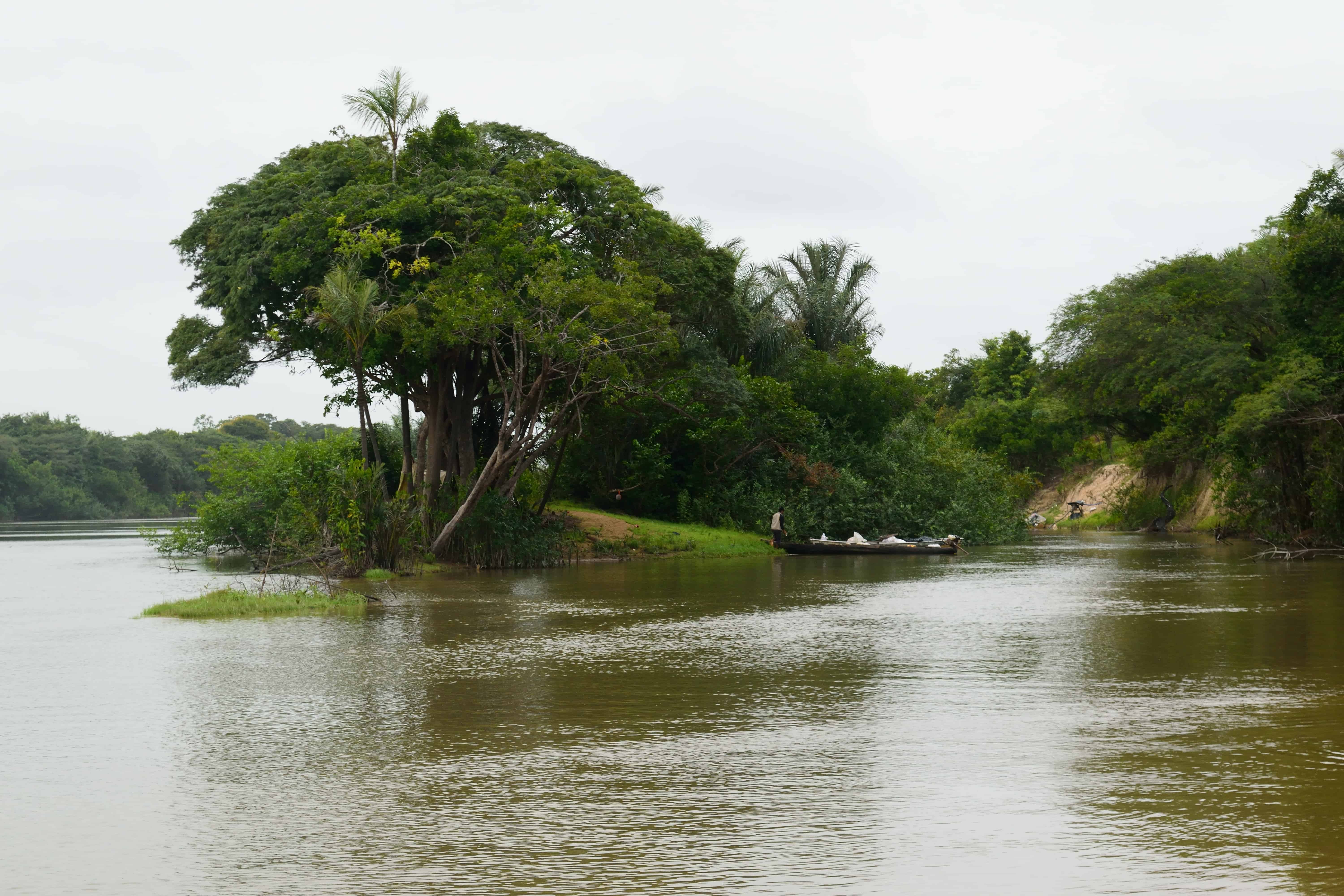 Guyana - Paradise for the Adventurous Angler - Brookdog Fishing