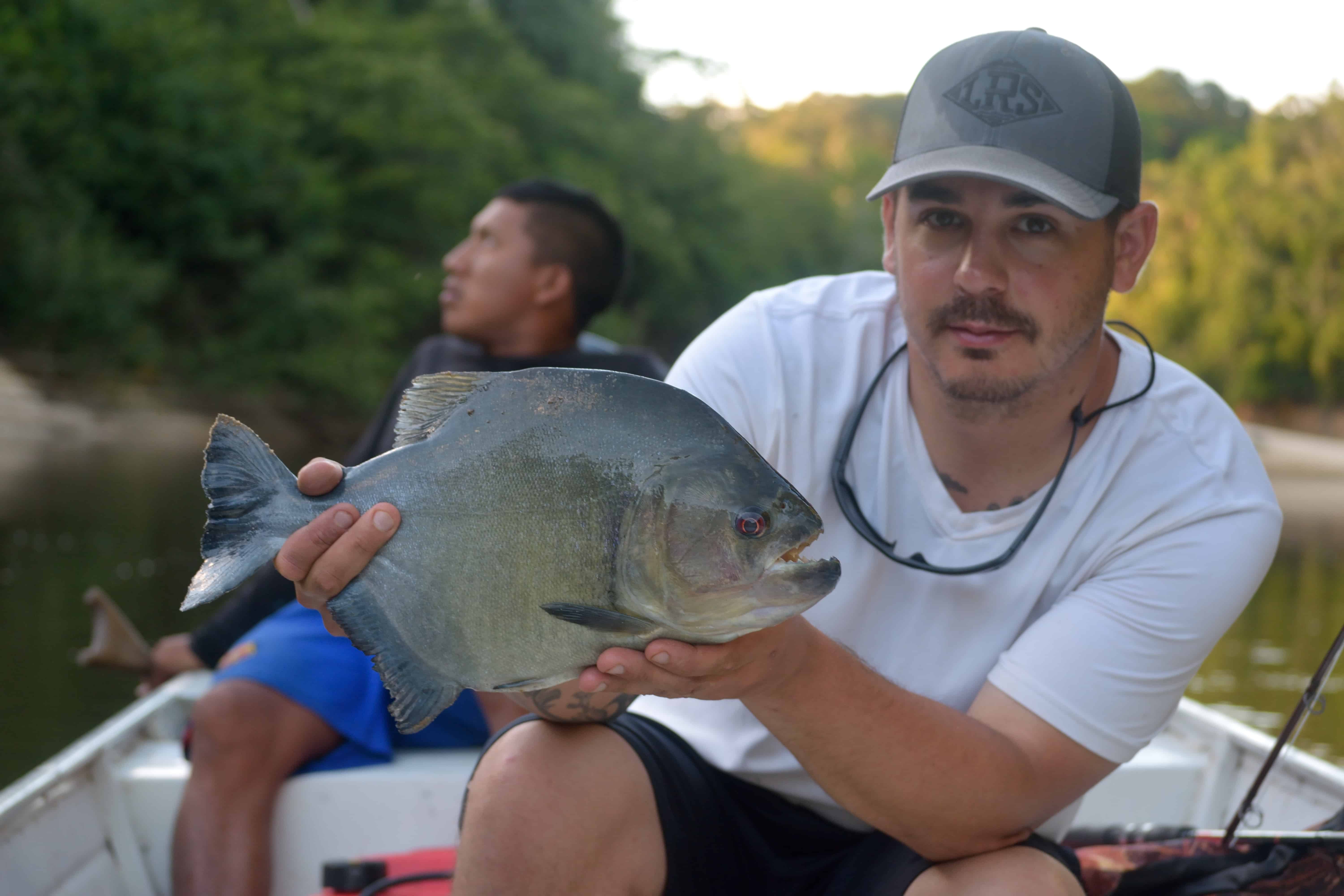 Redtail catfish landed by my friend on a 7 weight fly rod : r/Fishing