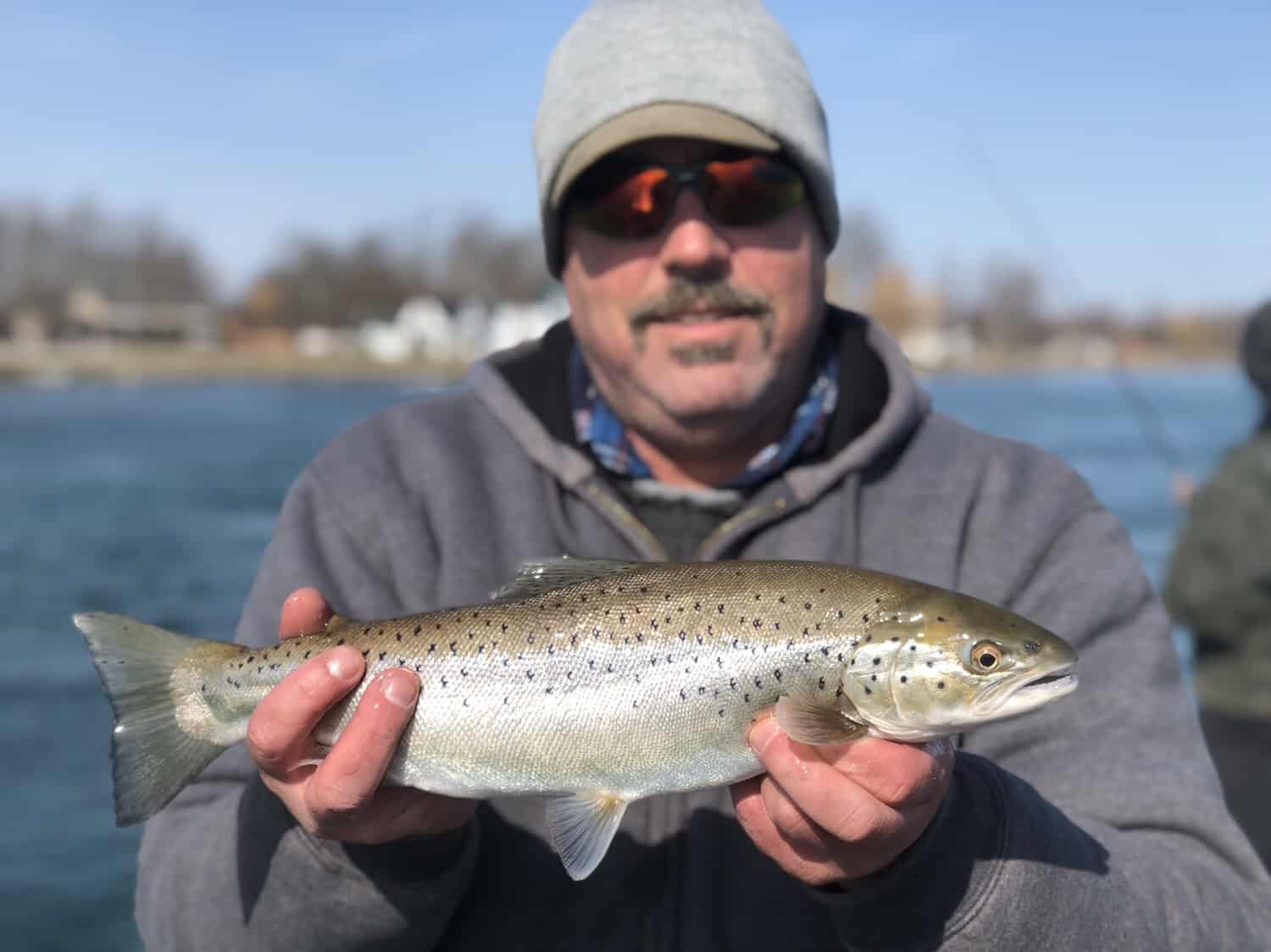 trout fishing western ny