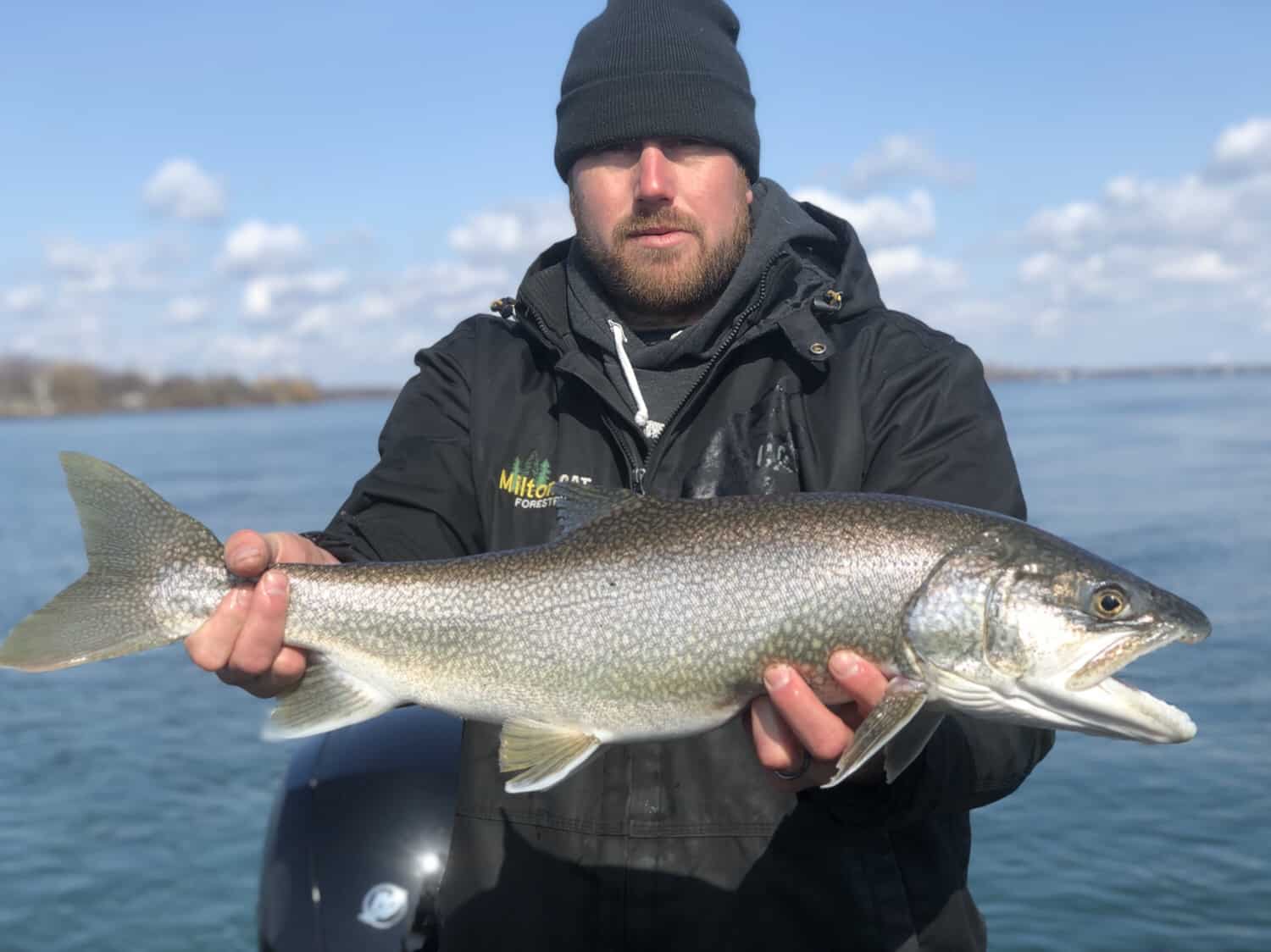 trout fishing western ny