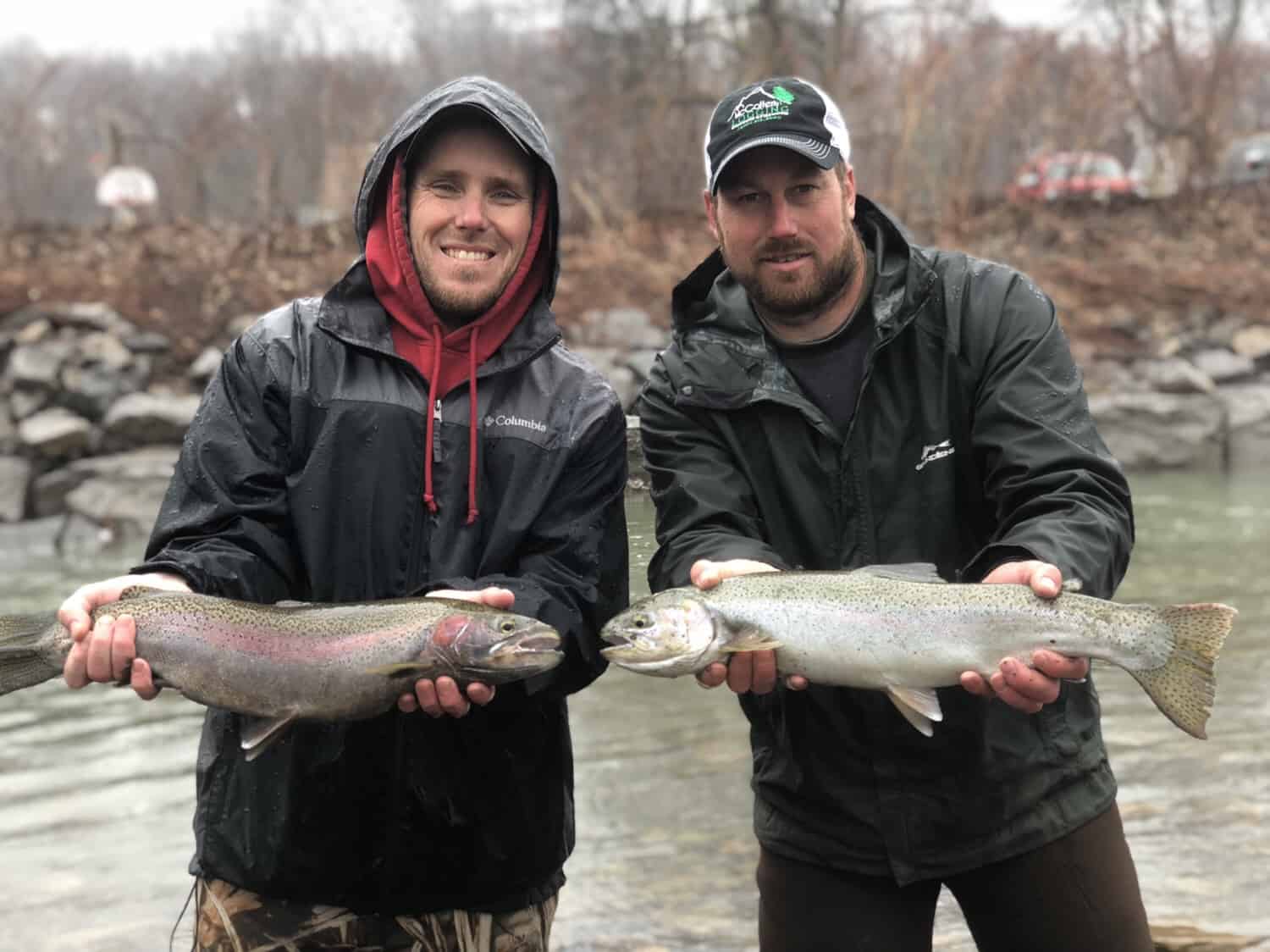 trout fishing western ny