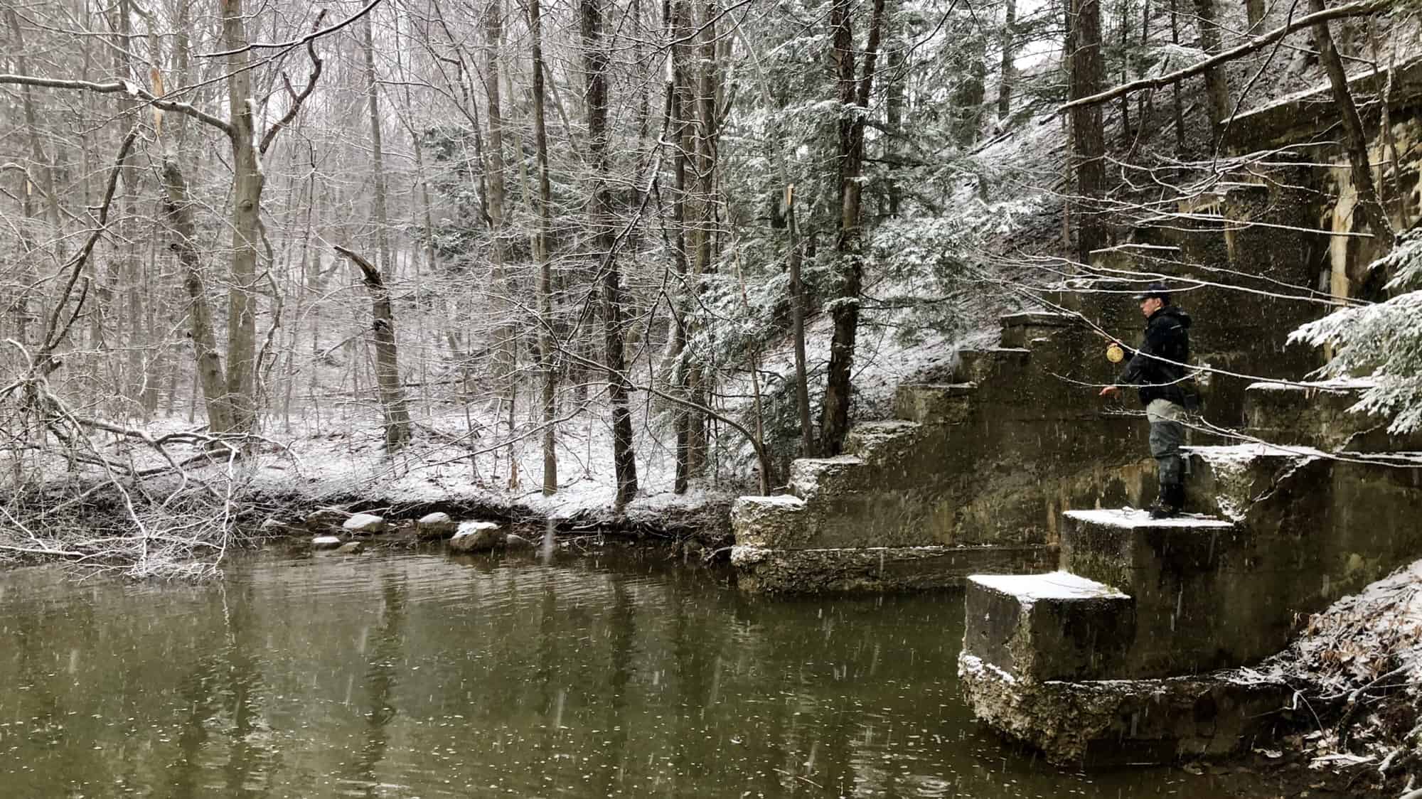 trout fishing western ny