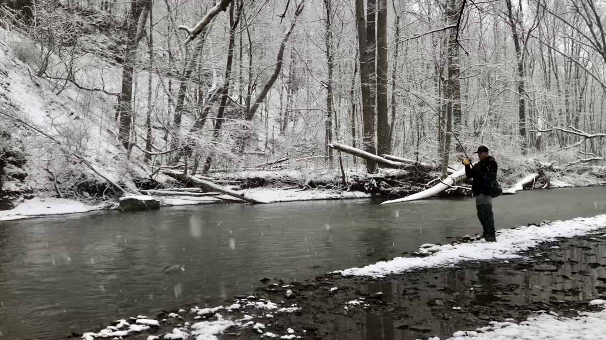 trout fishing western ny