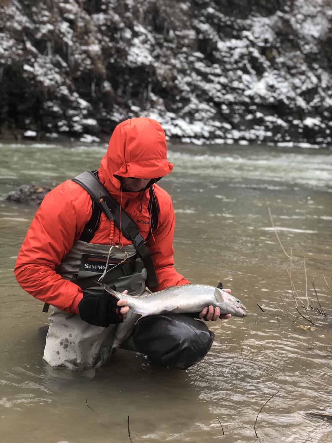 trout fishing western ny