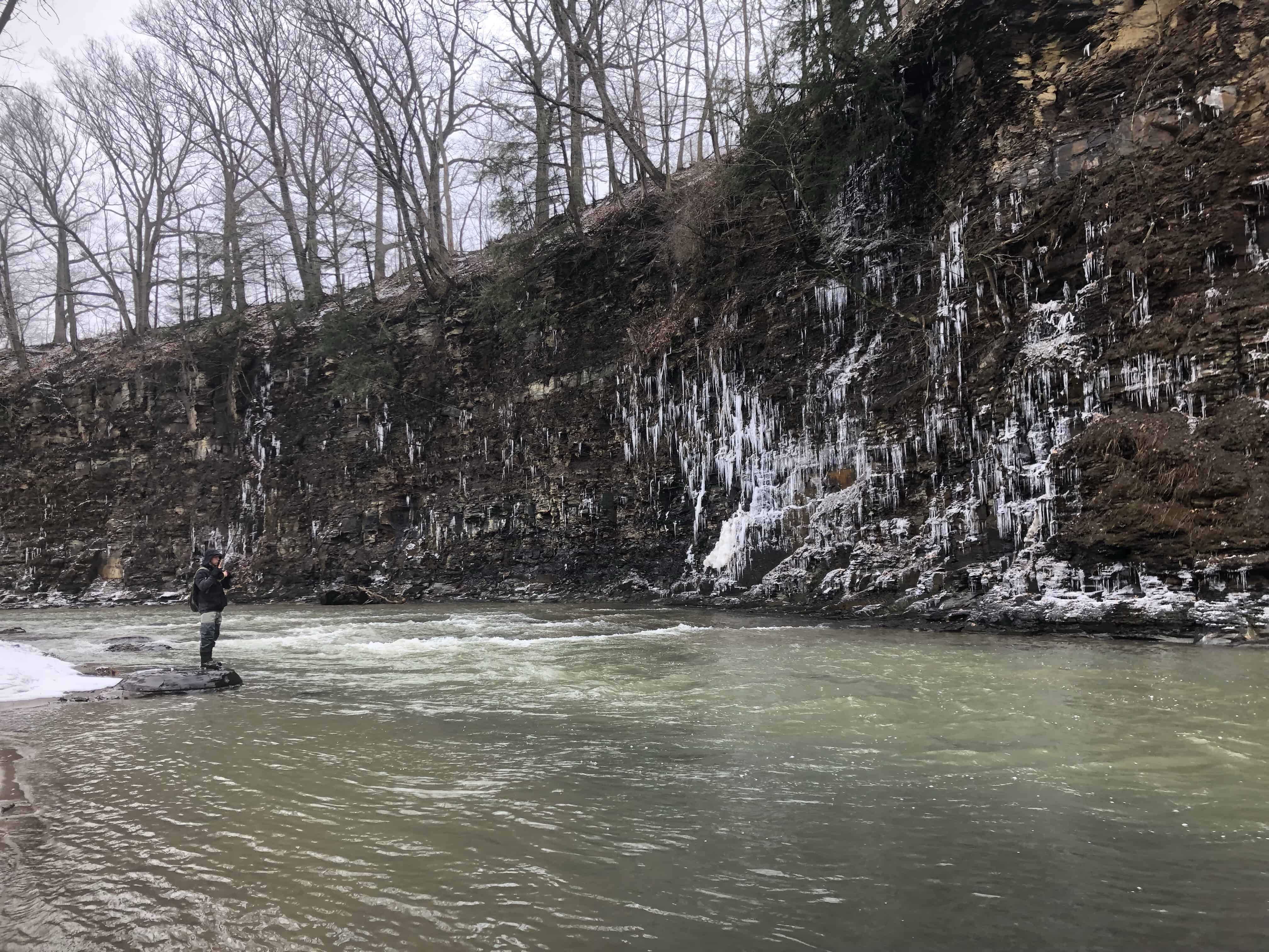 trout fishing western ny