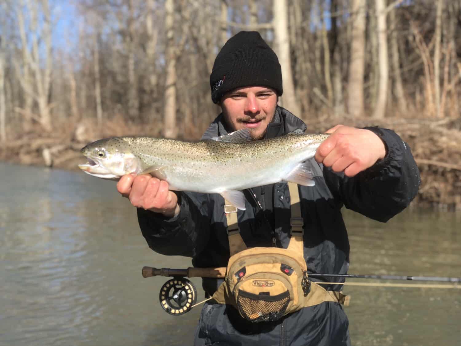 trout fishing western ny