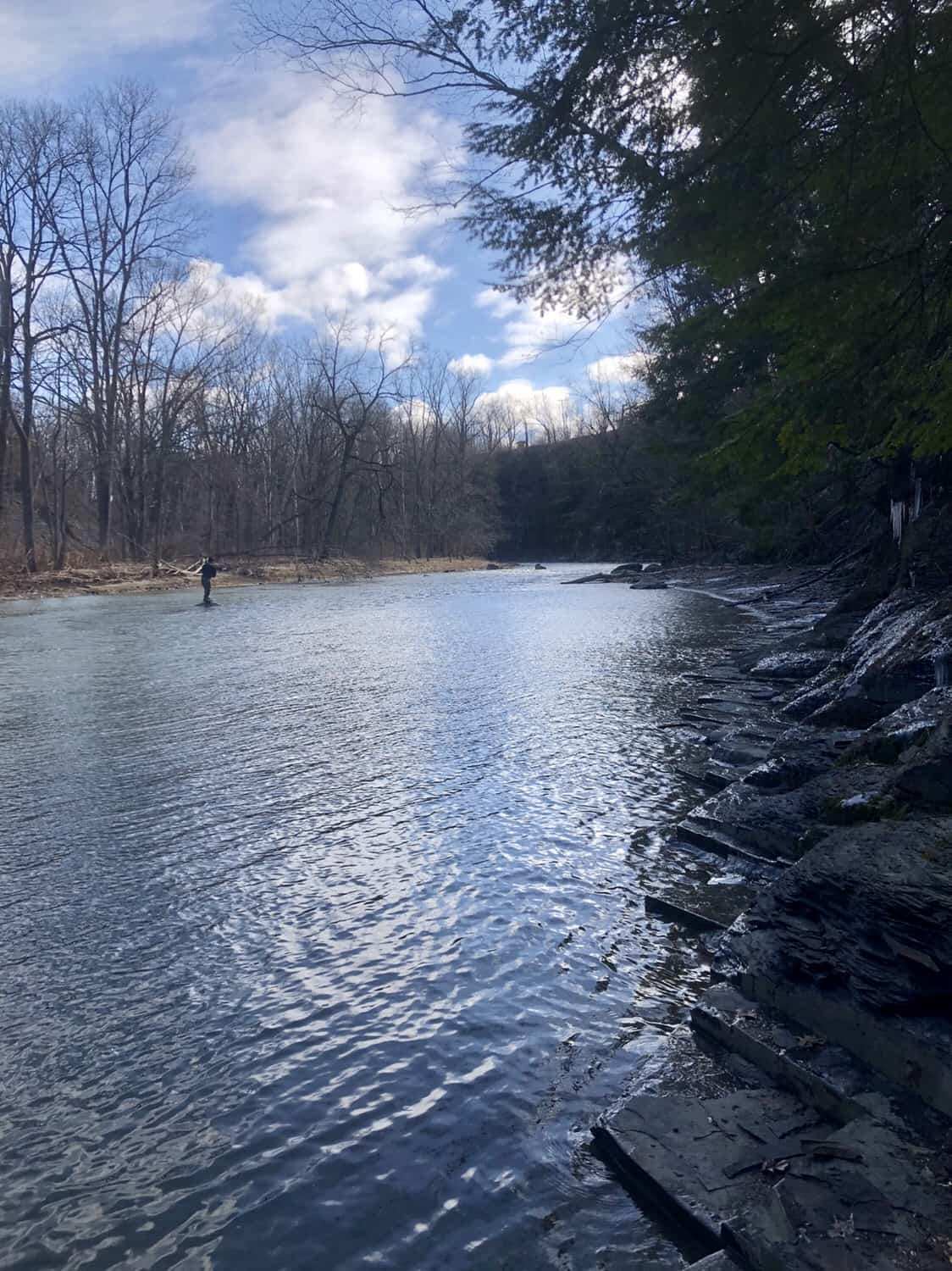 trout fishing western ny
