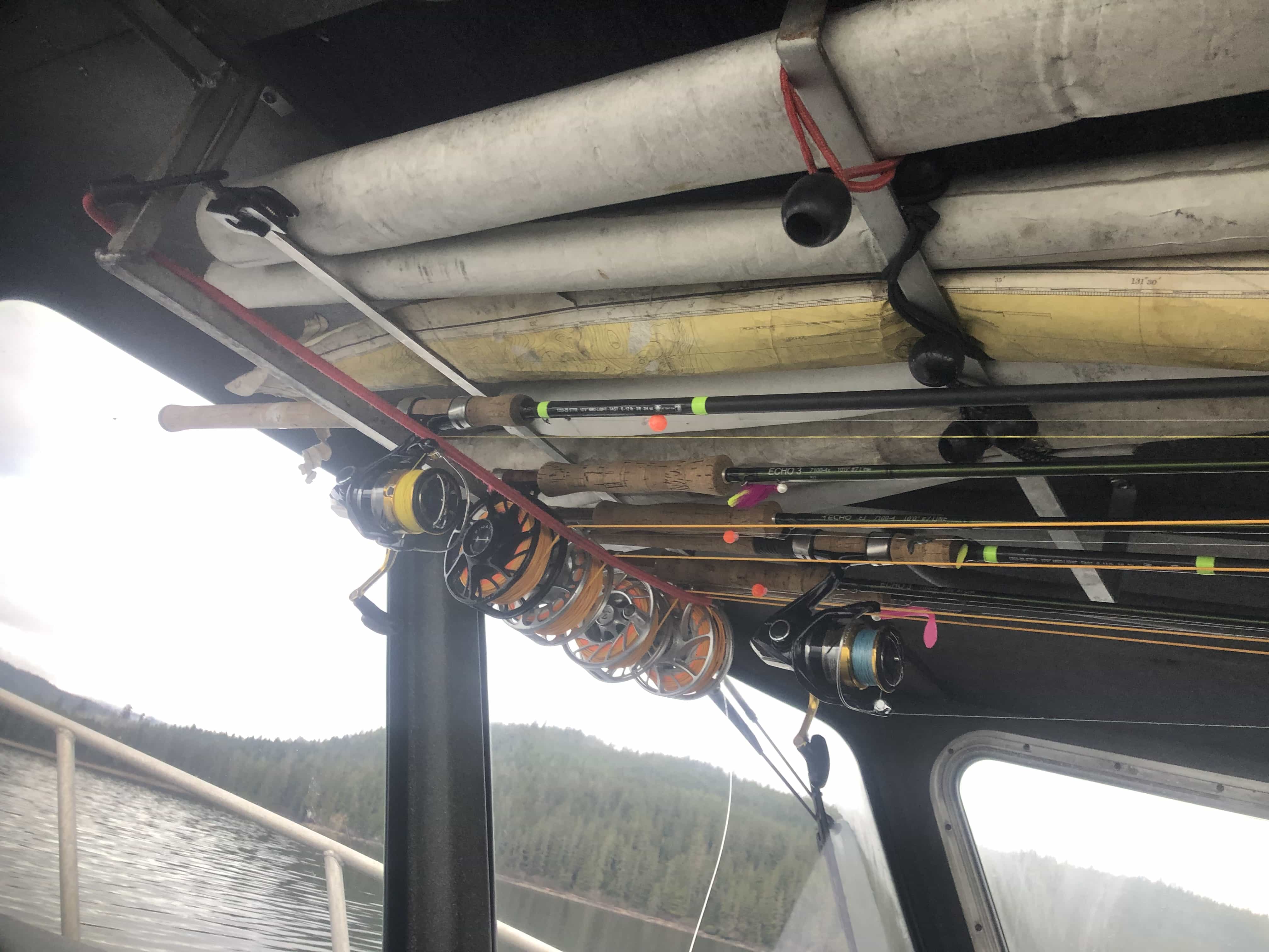 E002586F 8853 44E6 A64F 83582840715E - Alaska Fishing Trip 2019 – Native Steelhead