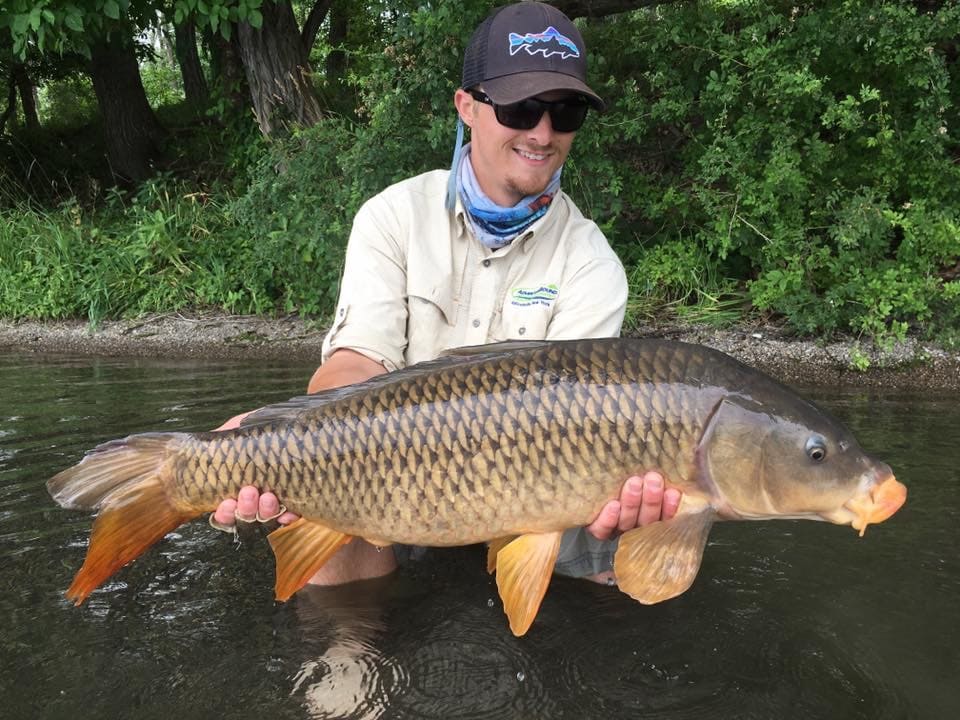 Carp Fishing in Buffalo Niagara Region is Second to None