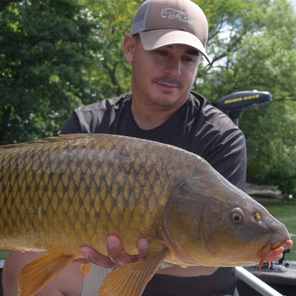 Carp Fishing in Buffalo Niagara Region is Second to None