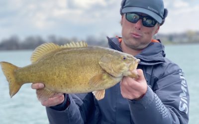 Observations from the Water and Confinement -04/19/2020