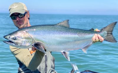 Observations from the Water – 05/17/2020