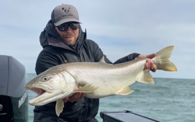 Observations from the Water – 05/10/2020