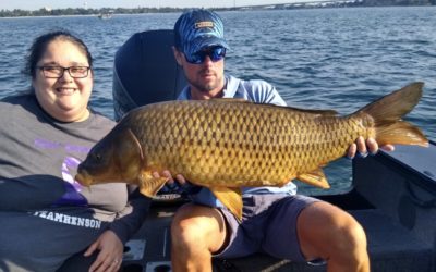 Observations from the Water – 08/16/2020