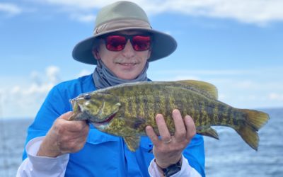 Observations from the Water – 08/02/2020