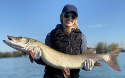 Observations from the Water – 10/11/2020