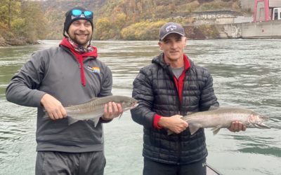 Observations from the Water – 11/01/2020