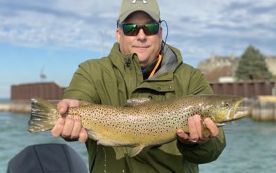 Observations from the Water – 11/15/2020