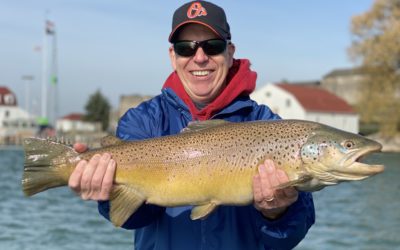 Observations from the Water – 11/08/2020