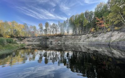 Tannic Water in Autumn – it Never Disappoints