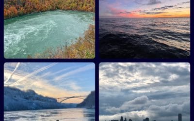 The Annual Pattern of Life – Buffalo Niagara Focus