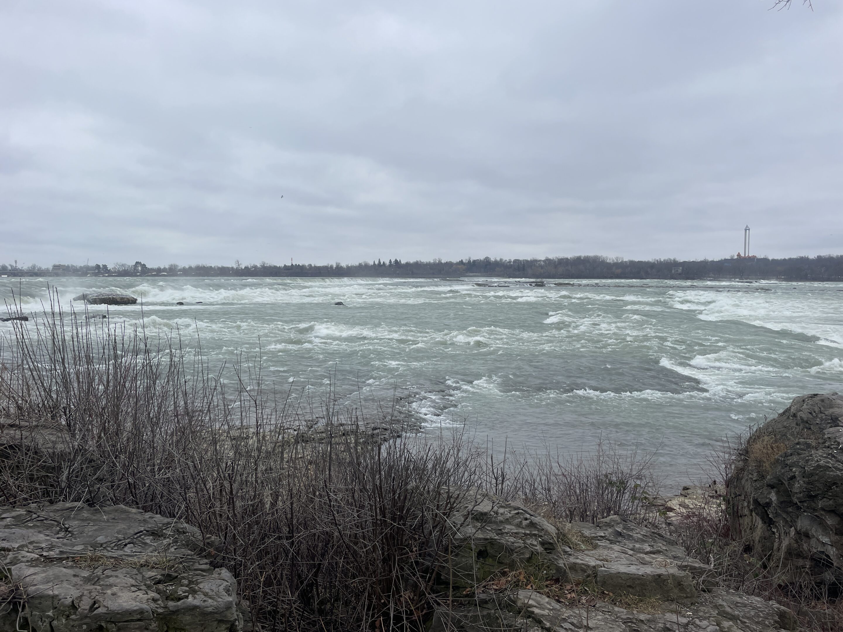 buffalo ny fishing report