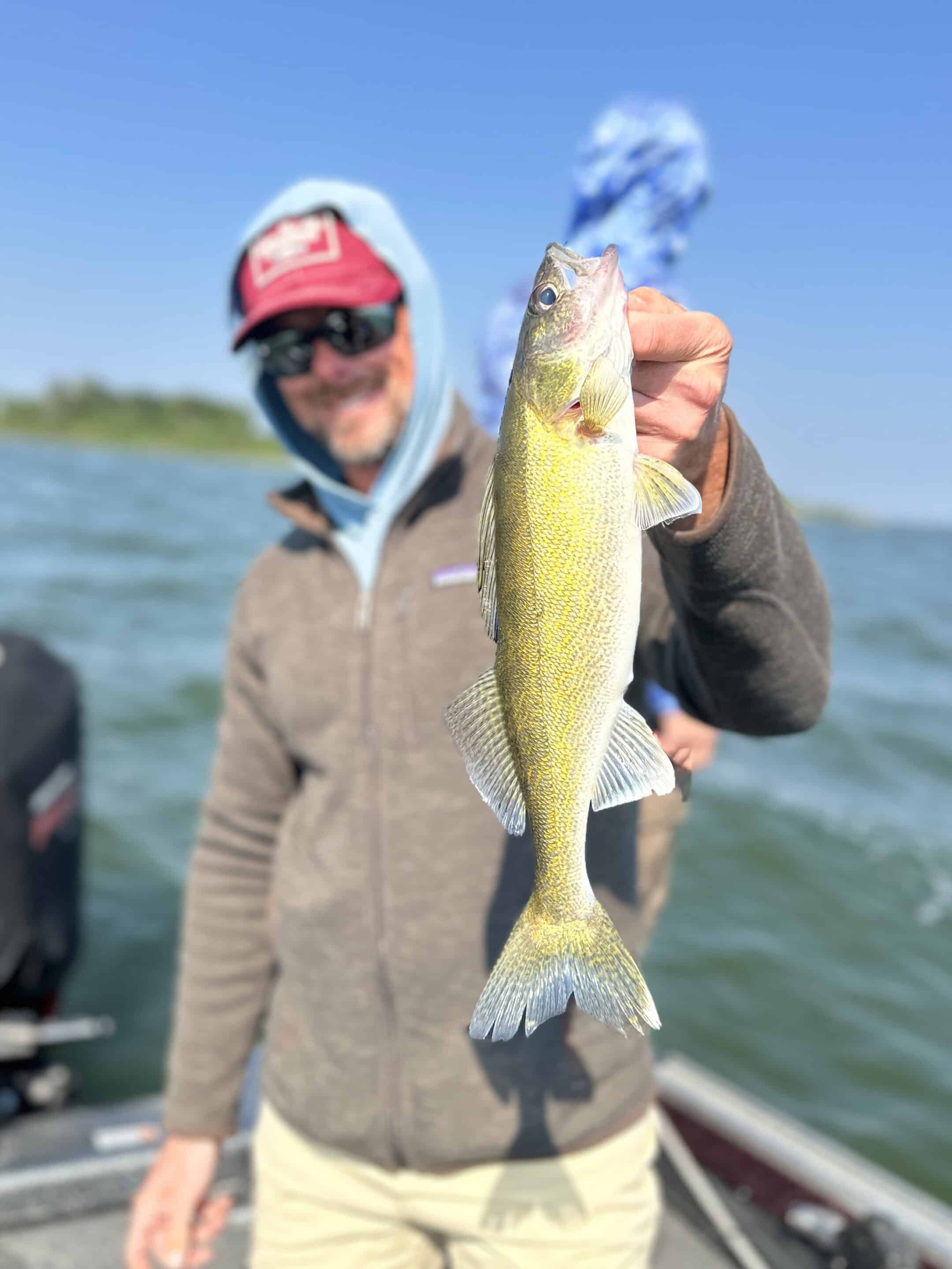 Bottom Bouncer - Walleye Mafia