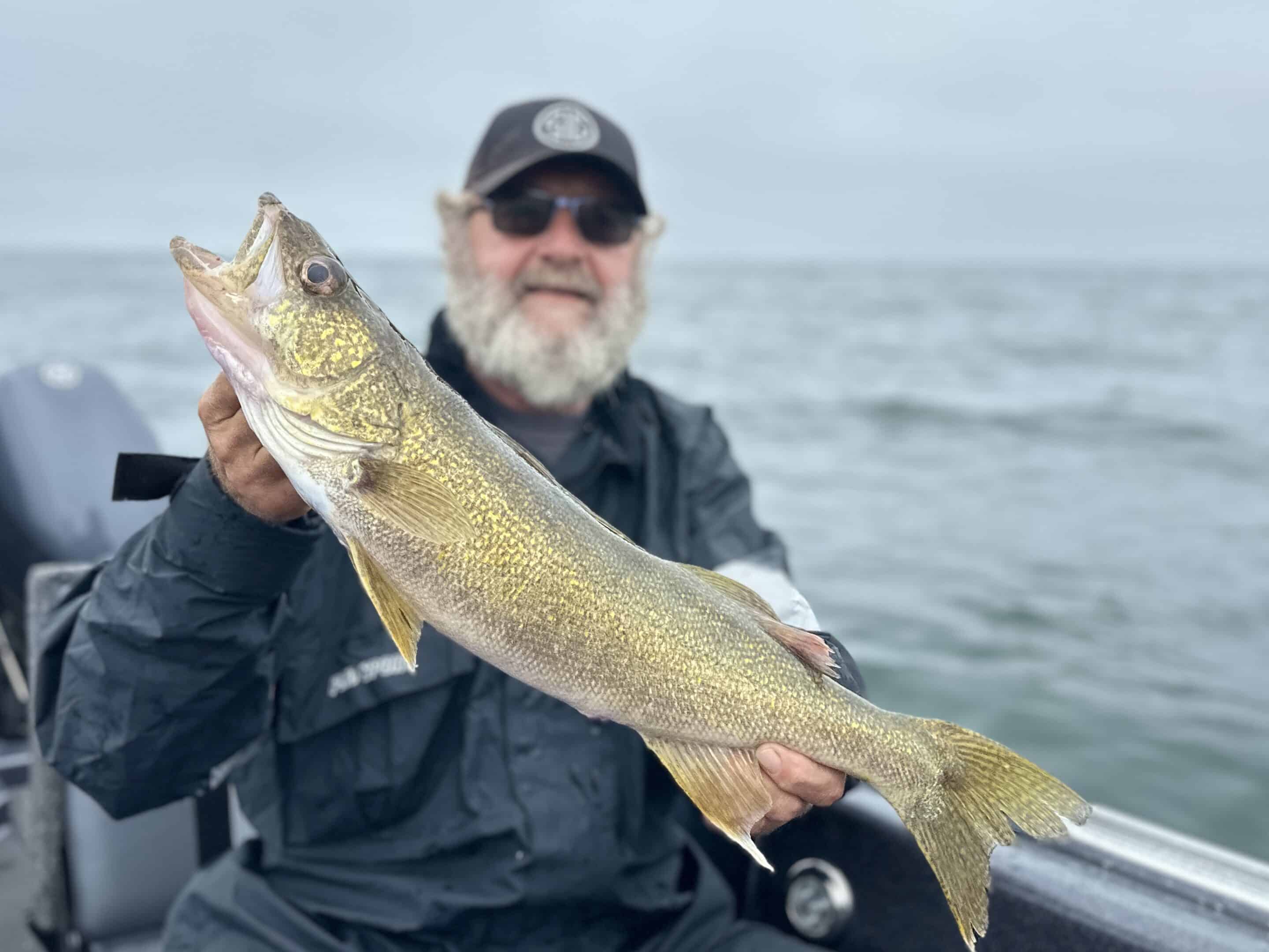 Buffalo NY Fishing report