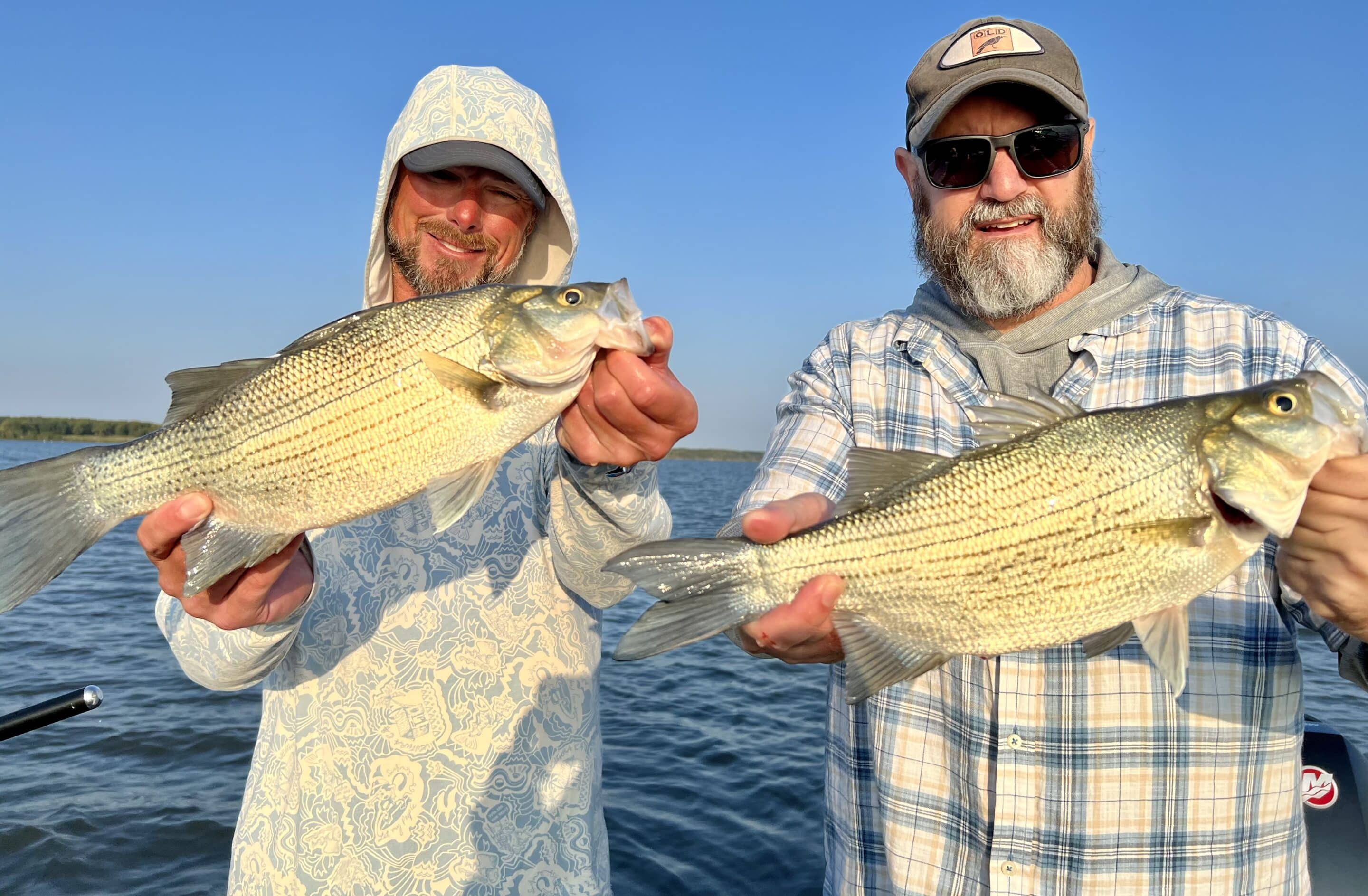 4 striped bass fishing books will separate