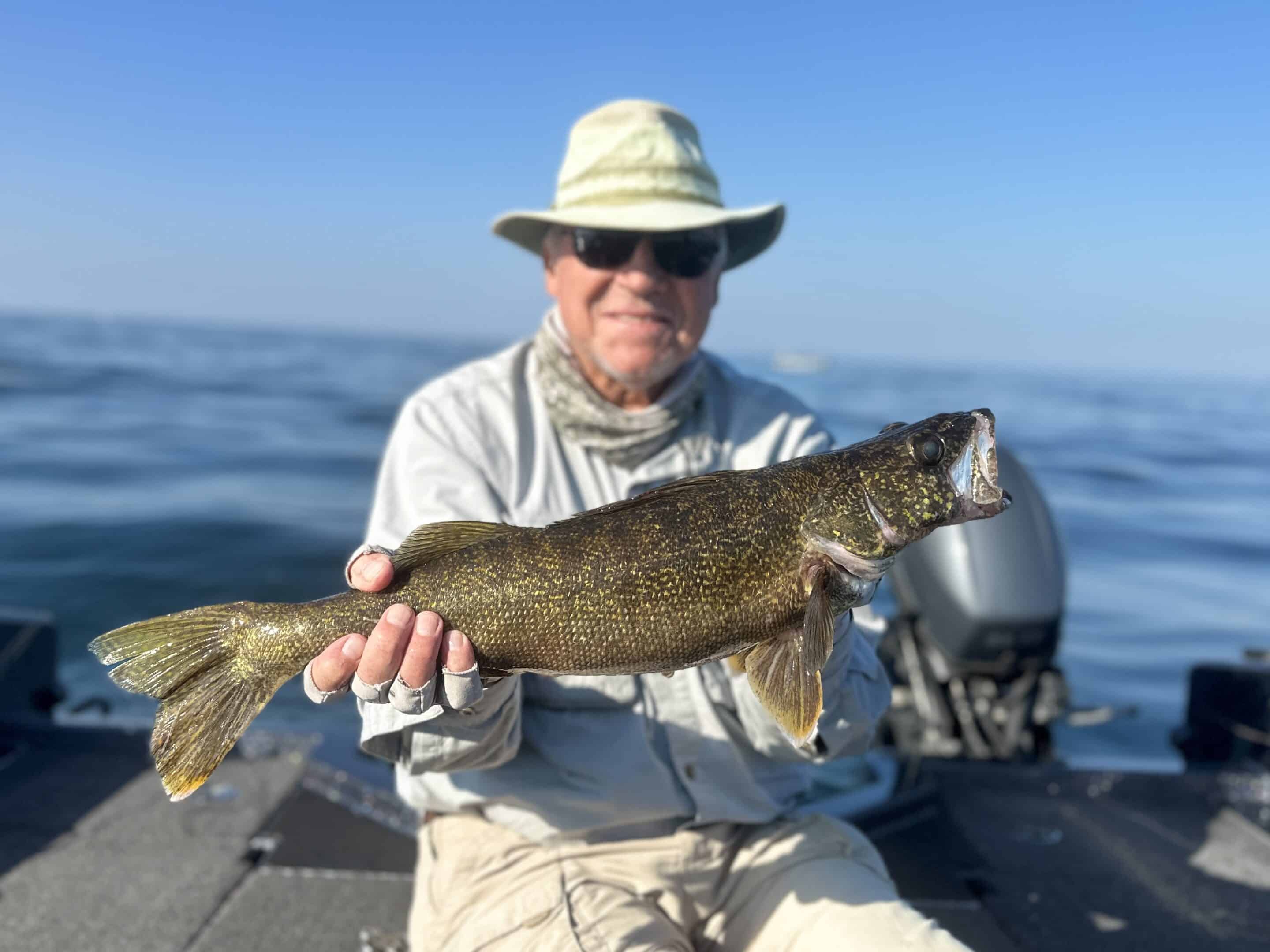 Buffalo NY Fishing Report - 10/08/2023 - Brookdog Fishing