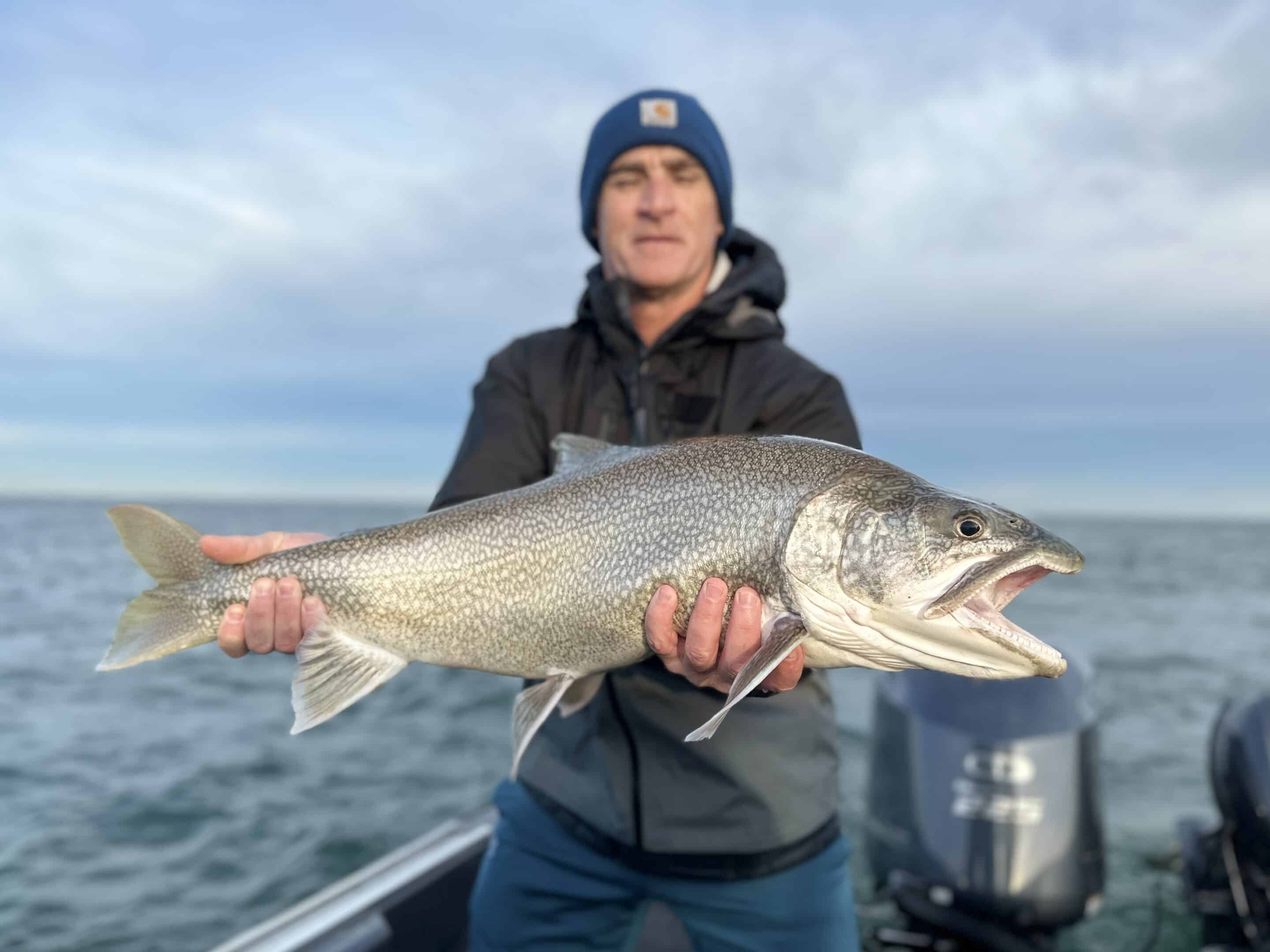 Buffalo NY Fishing Report - 11/19/2023 - Brookdog Fishing