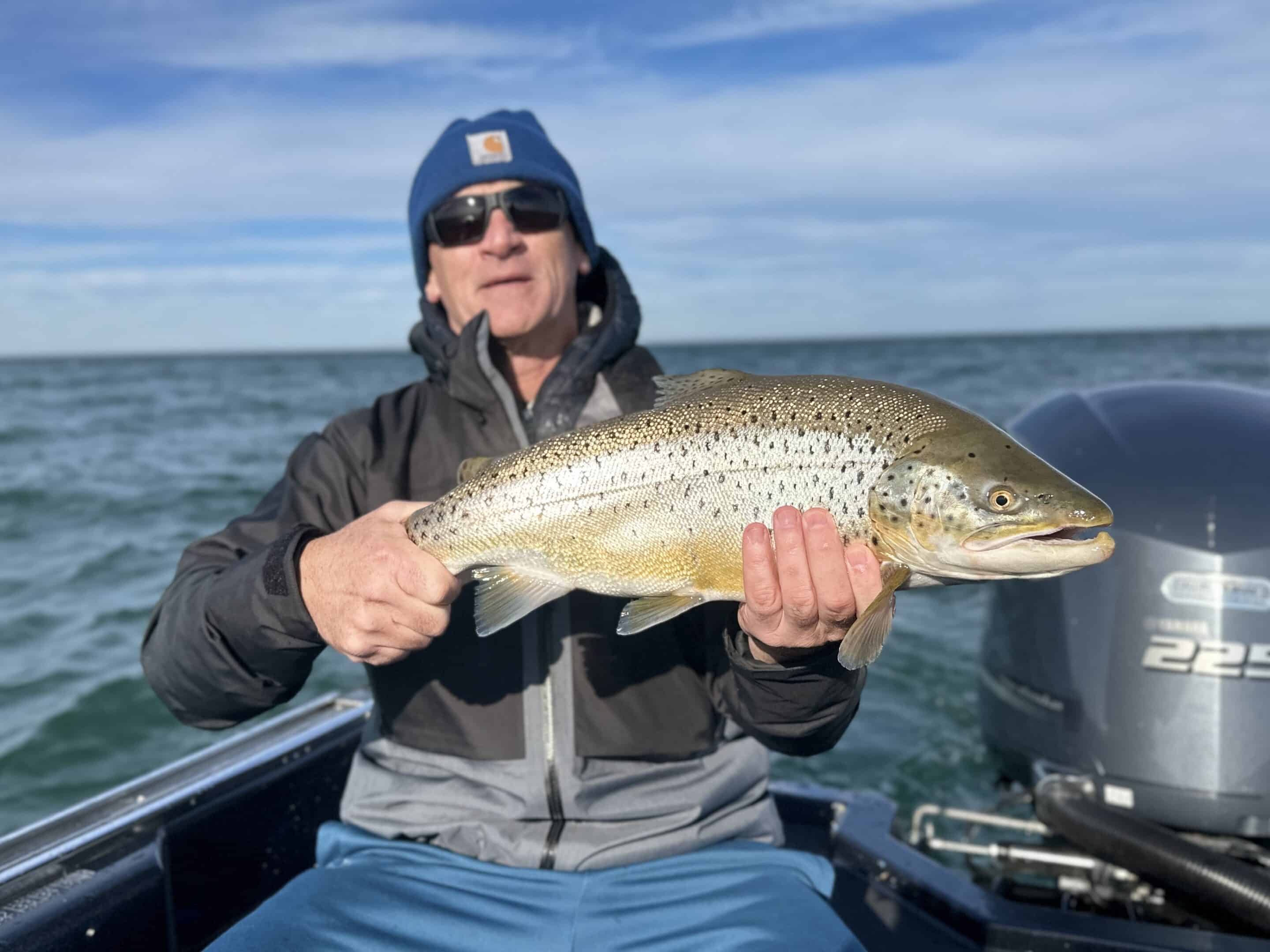 Buffalo NY Fishing Report - 11/19/2023 - Brookdog Fishing