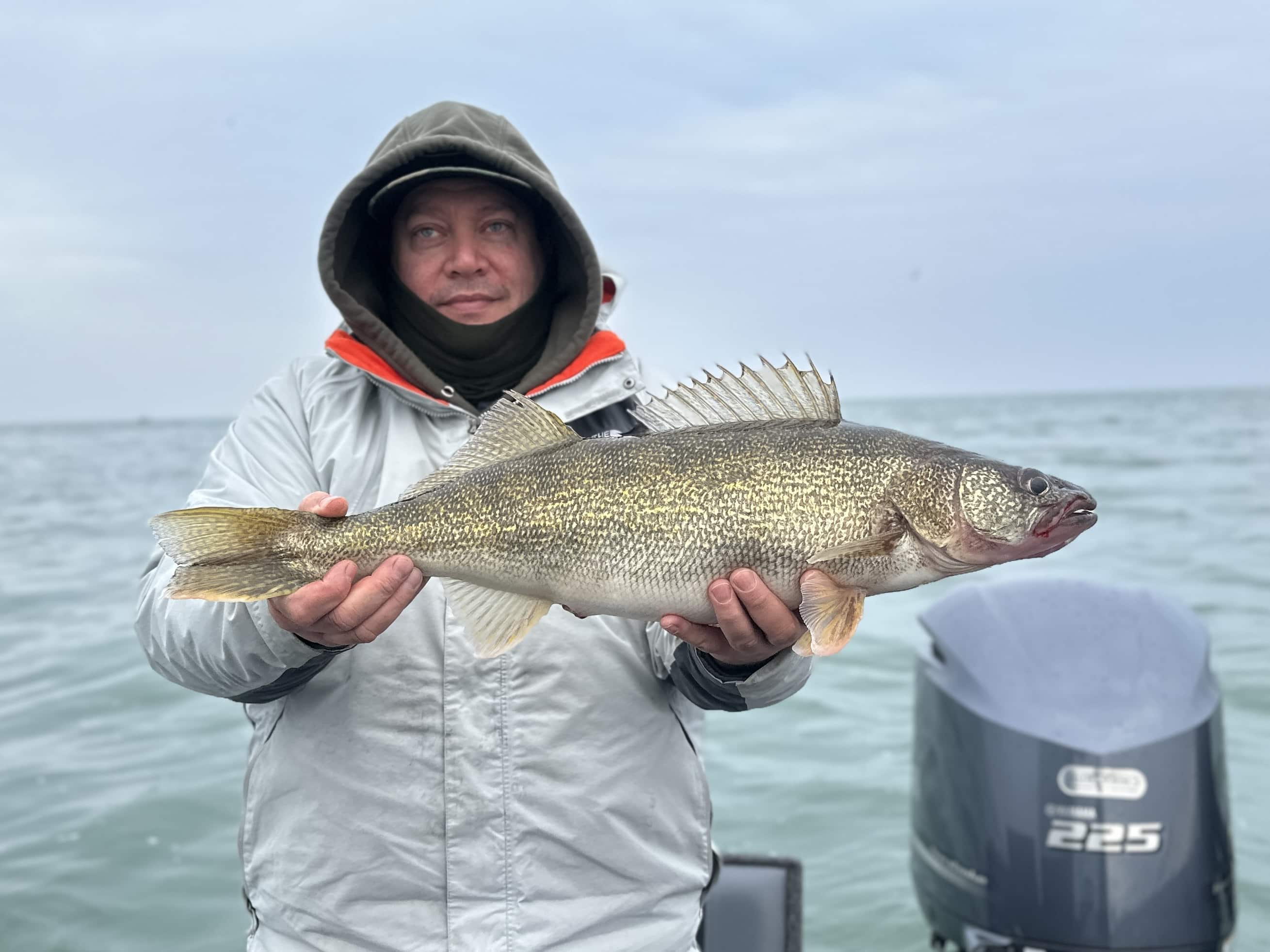 Lake Erie Walleye Charters In Buffalo [Top Rated Guides]