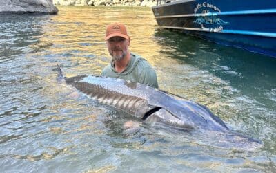 The Beasts of Hells Canyon – White Sturgeon Adventure
